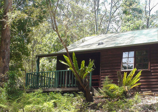 Picture of Cozy Family Cabin