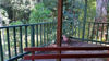 Picture of Deluxe Timber Cabins